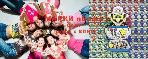 прущие грибы Алзамай