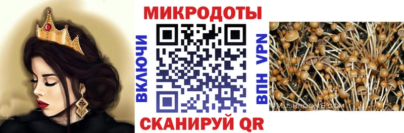 наркота  блэк спрут зеркало  Галлюциногенные грибы ЛСД  Звенигово 